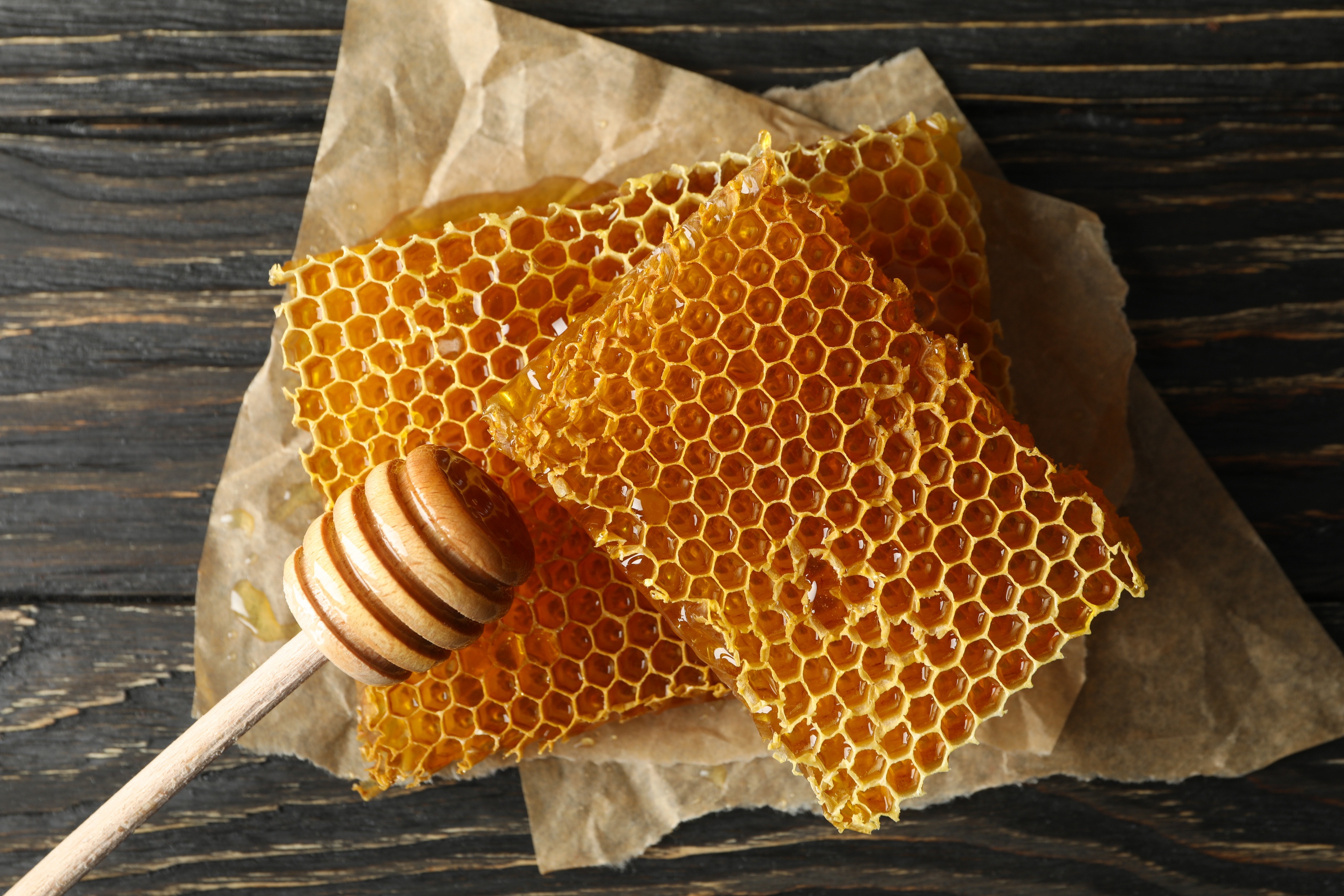 baking-paper-with-honeycomb baking-paper-with-honeycomb