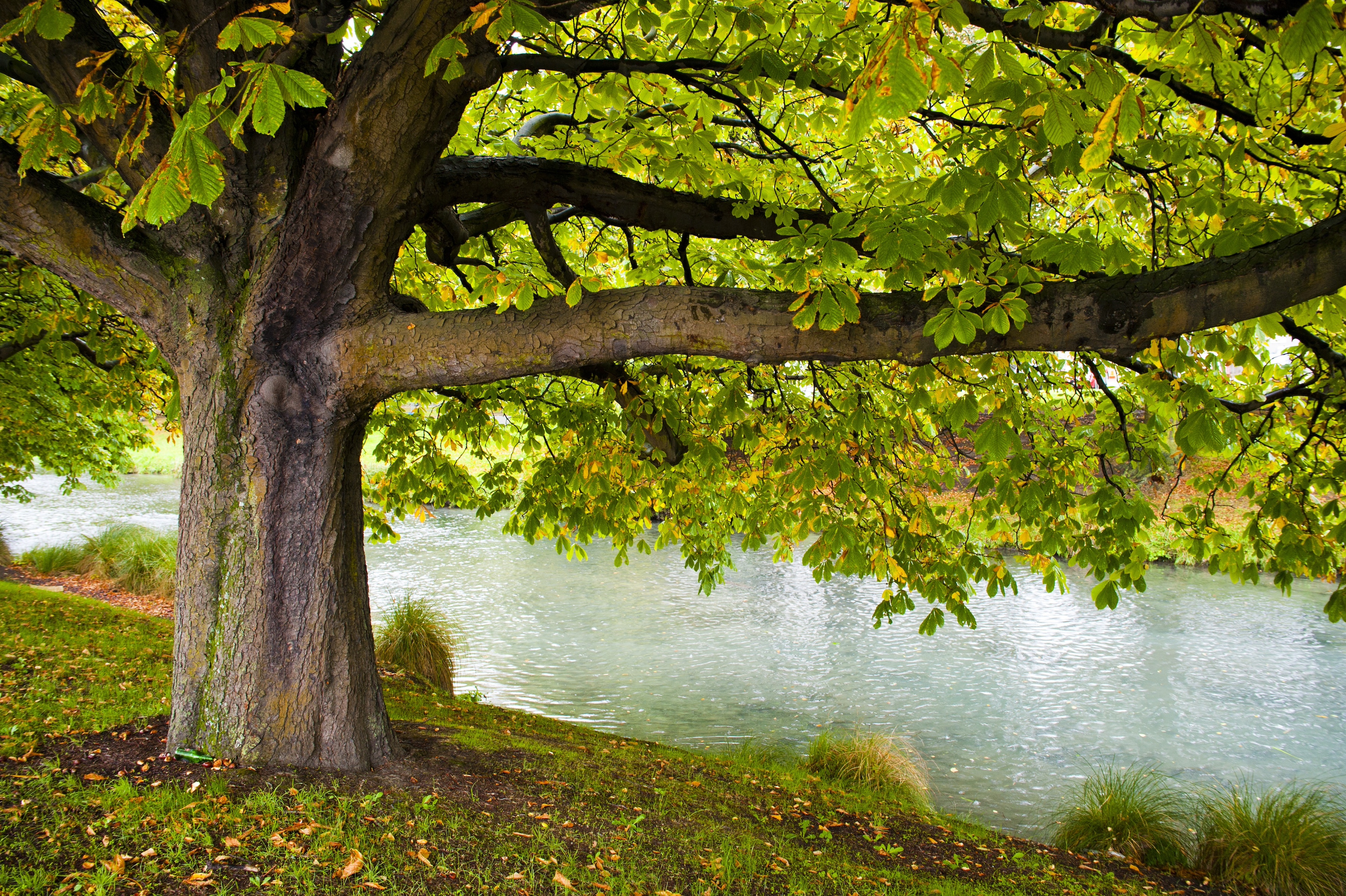 deserted-church deserted-church