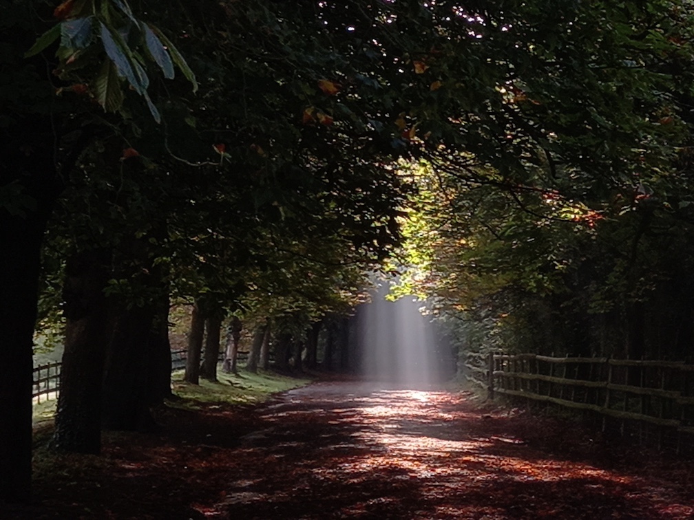 nature 2023 nature 2023