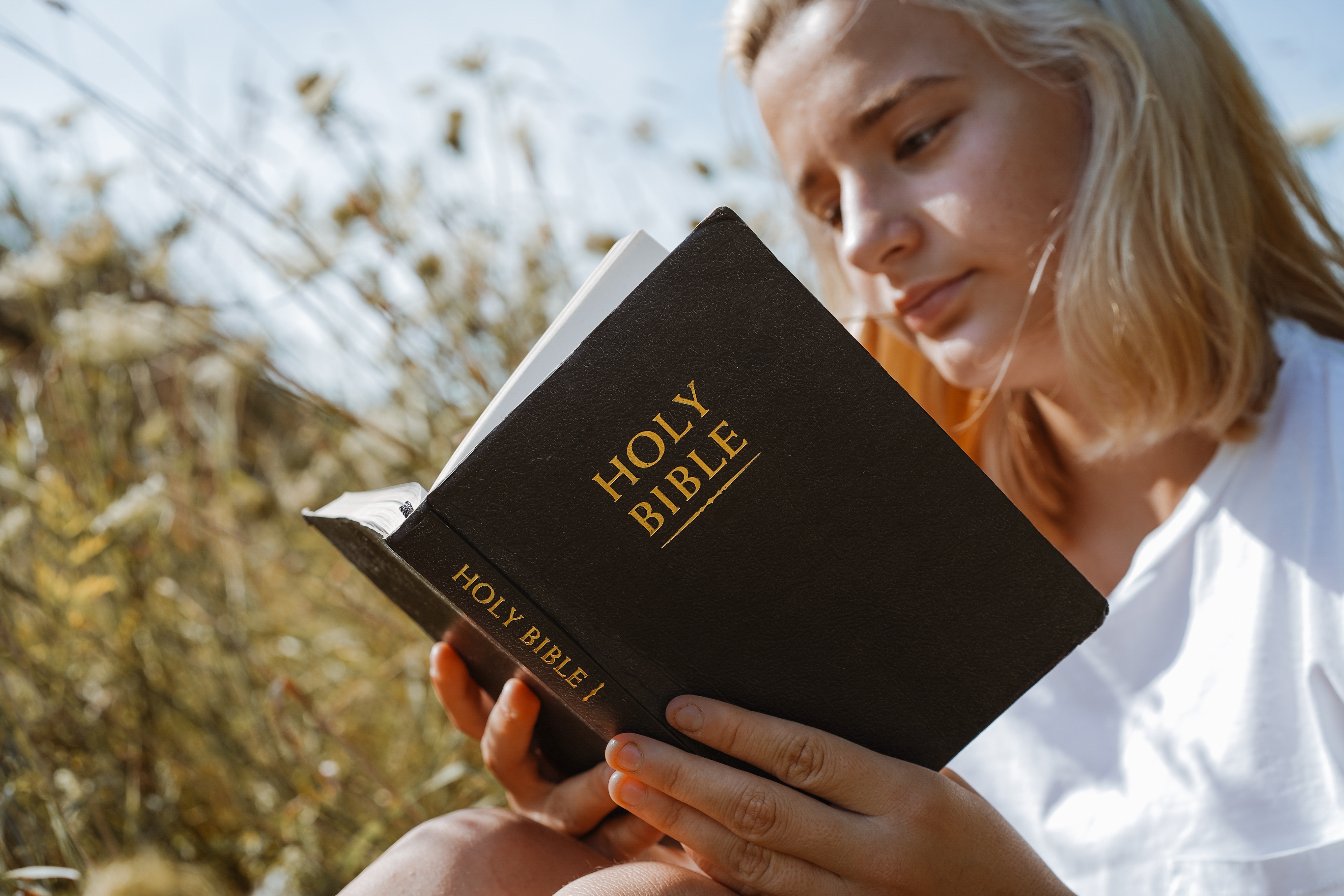 Reading the Bible Reading the Bible